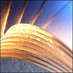 Filterschichten für Rundfilter 222 mm