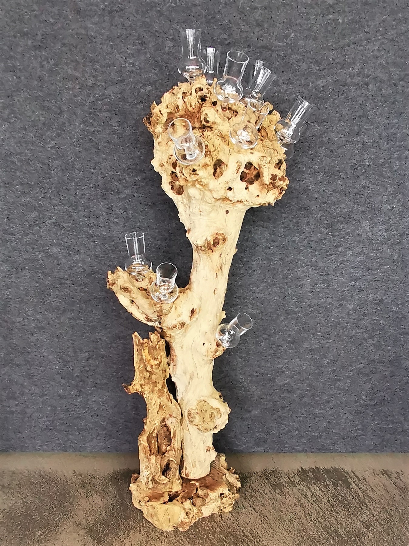 Wurzelstock stehend mit 12 Stamperln